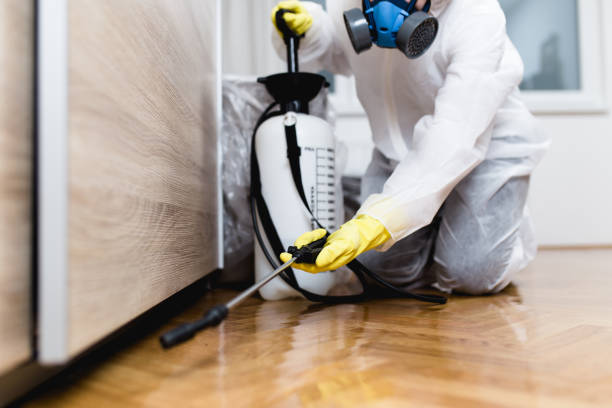 Pest Prevention Services in Scottdale, GA