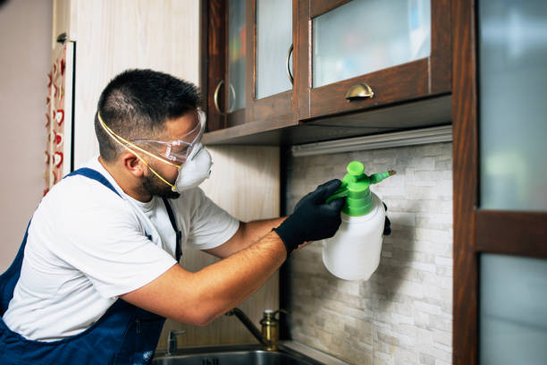 Best Pest Inspection Near Me  in Scottdale, GA