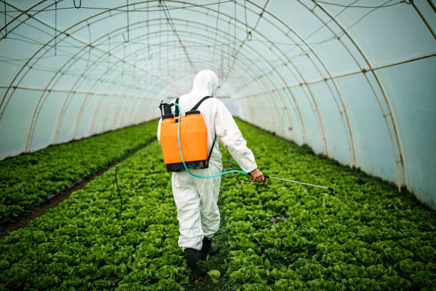 Best Pest Control Near Me in Scottdale, GA