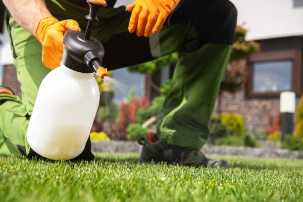 Best Exterminator Services  in Scottdale, GA