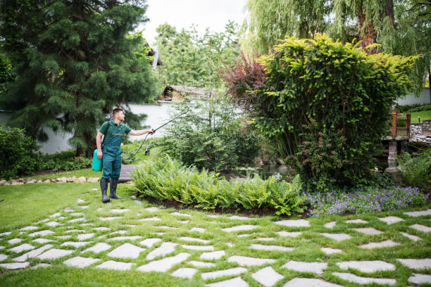 Best Local Pest Control Services  in Scottdale, GA