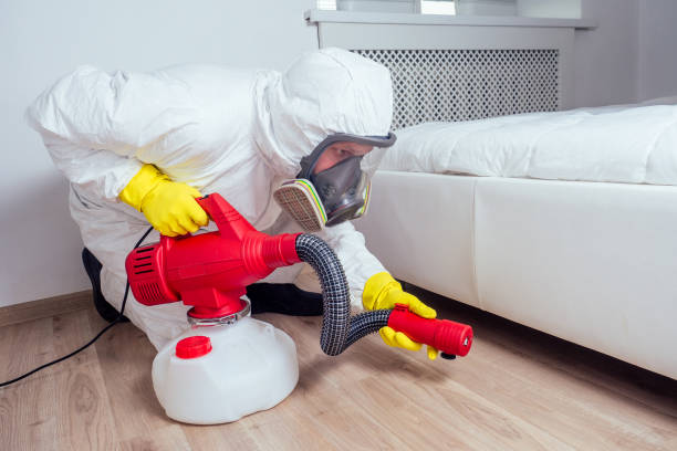 Trusted Scottdale, GA Pest Control Experts