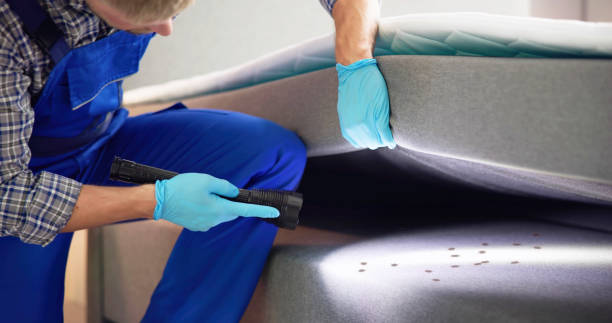 Best Rat Extermination Near Me  in Scottdale, GA