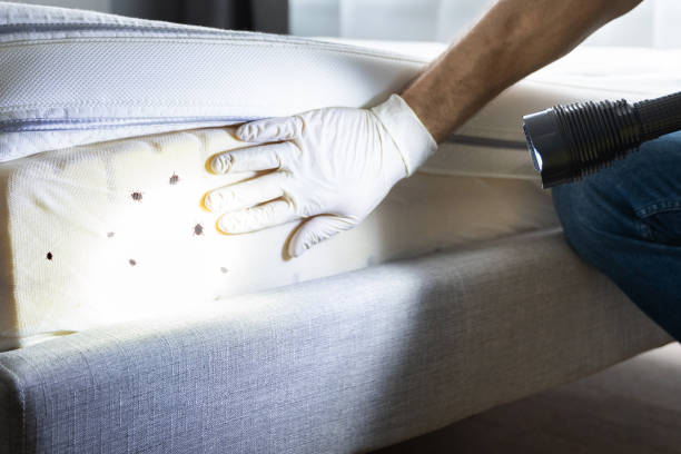 Best Pest Removal Services  in Scottdale, GA