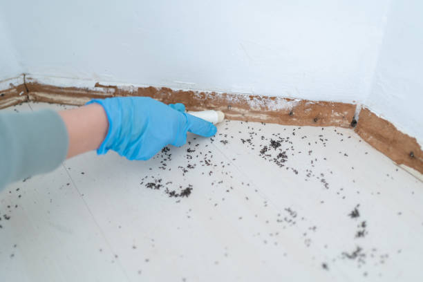 Best Wildlife Control Services  in Scottdale, GA