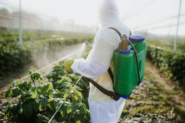 Pest Control Cost in Scottdale, GA